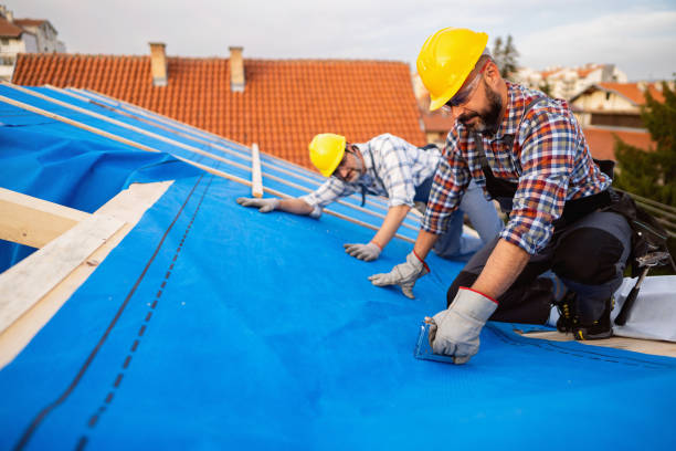 4 Ply Roofing in Georgetown, CO