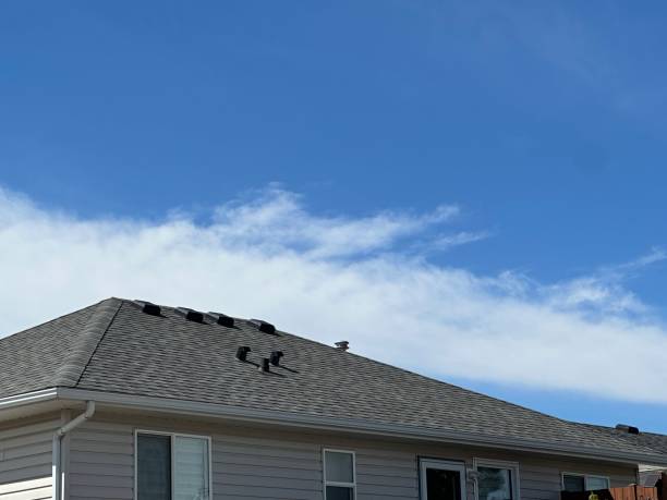 Best Rubber Roofing (EPDM, TPO)  in Georgetown, CO